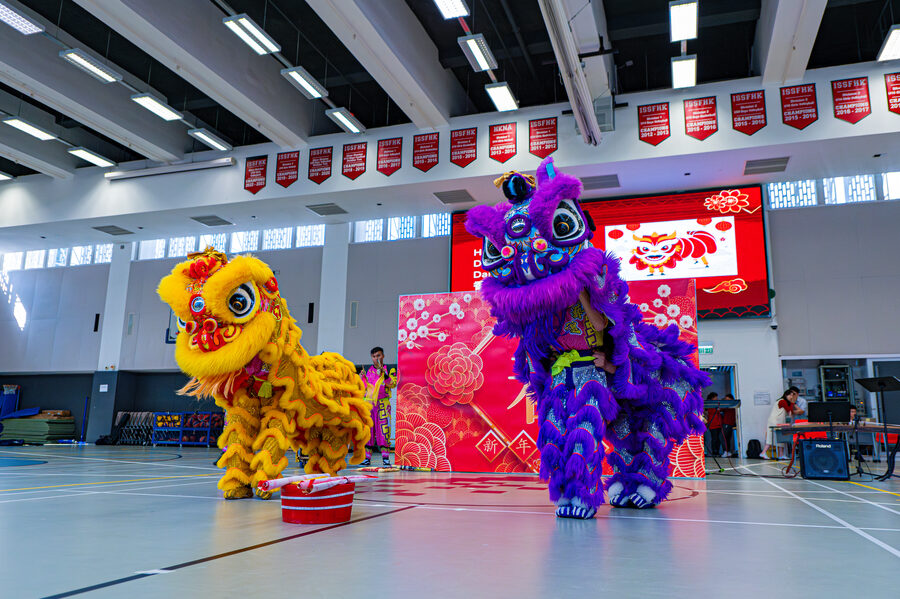 Chinese New Year photo 3