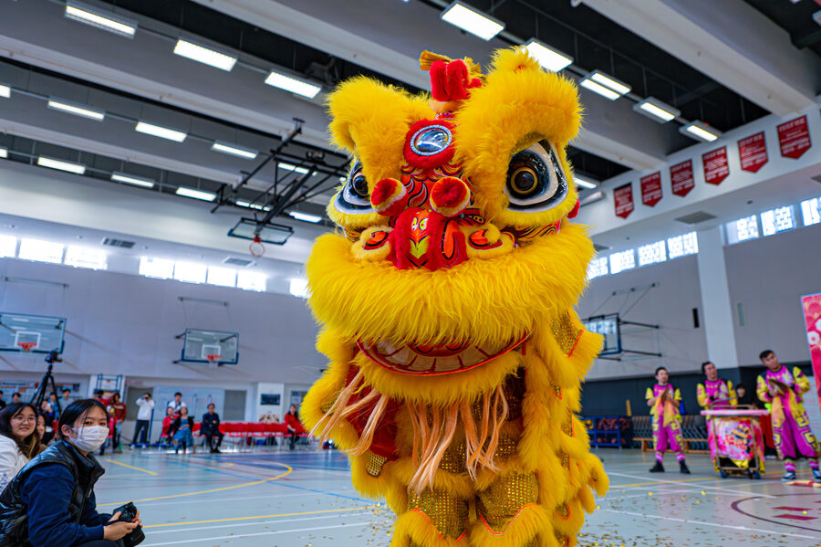 Chinese New Year photo 4