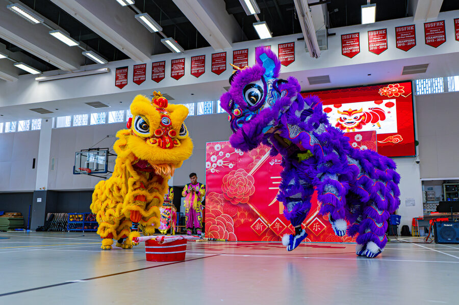 Chinese New Year photo 5