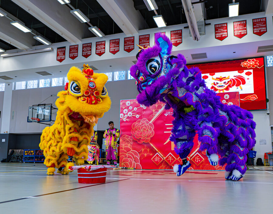 Chinese New Year photo 6