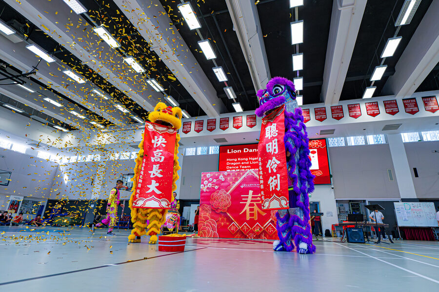 Chinese New Year photo 7