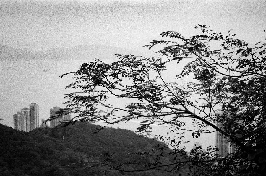 First Roll photo 17