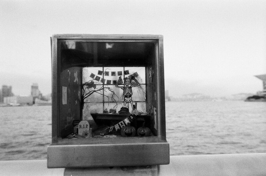 First Roll photo 22