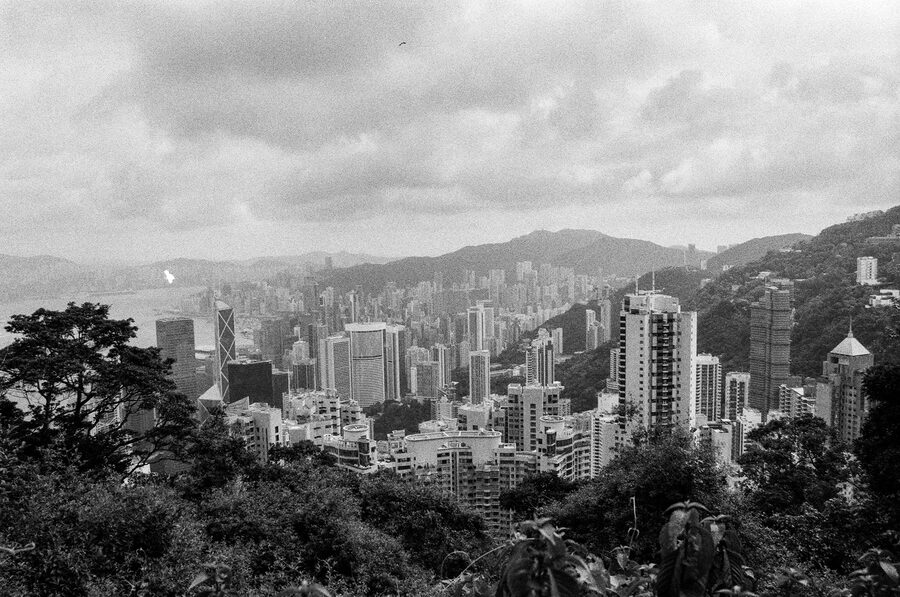 First Roll photo 31