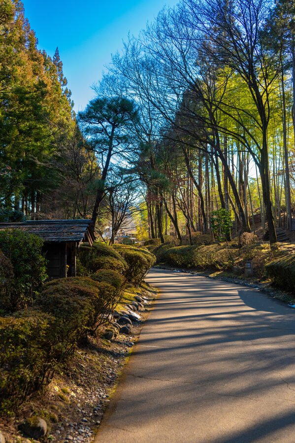 Japan photo 13