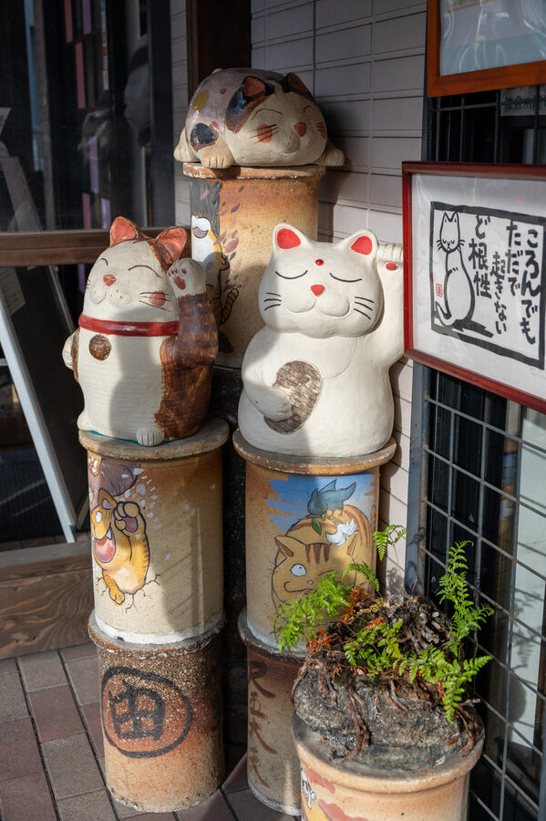 Japan photo 17